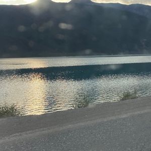 Meet your Posher, Darcie